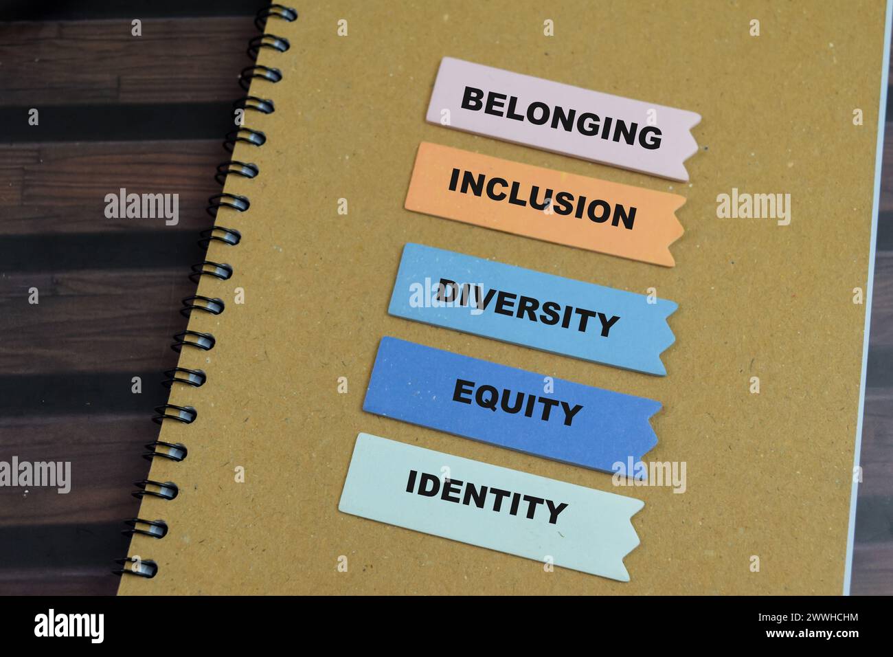 Concept d'appartenance, d'inclusion, de diversité, d'équité, d'identité écrire sur des notes autocollantes isolées sur une table en bois. Banque D'Images