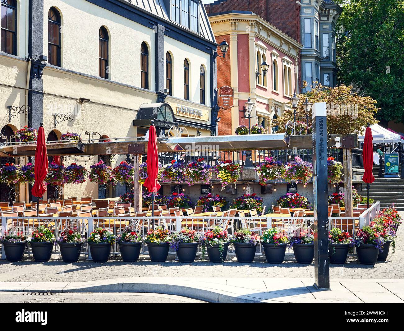 De belles jardinières à l'extérieur d'un restaurant populaire sur Bastion Square. Banque D'Images