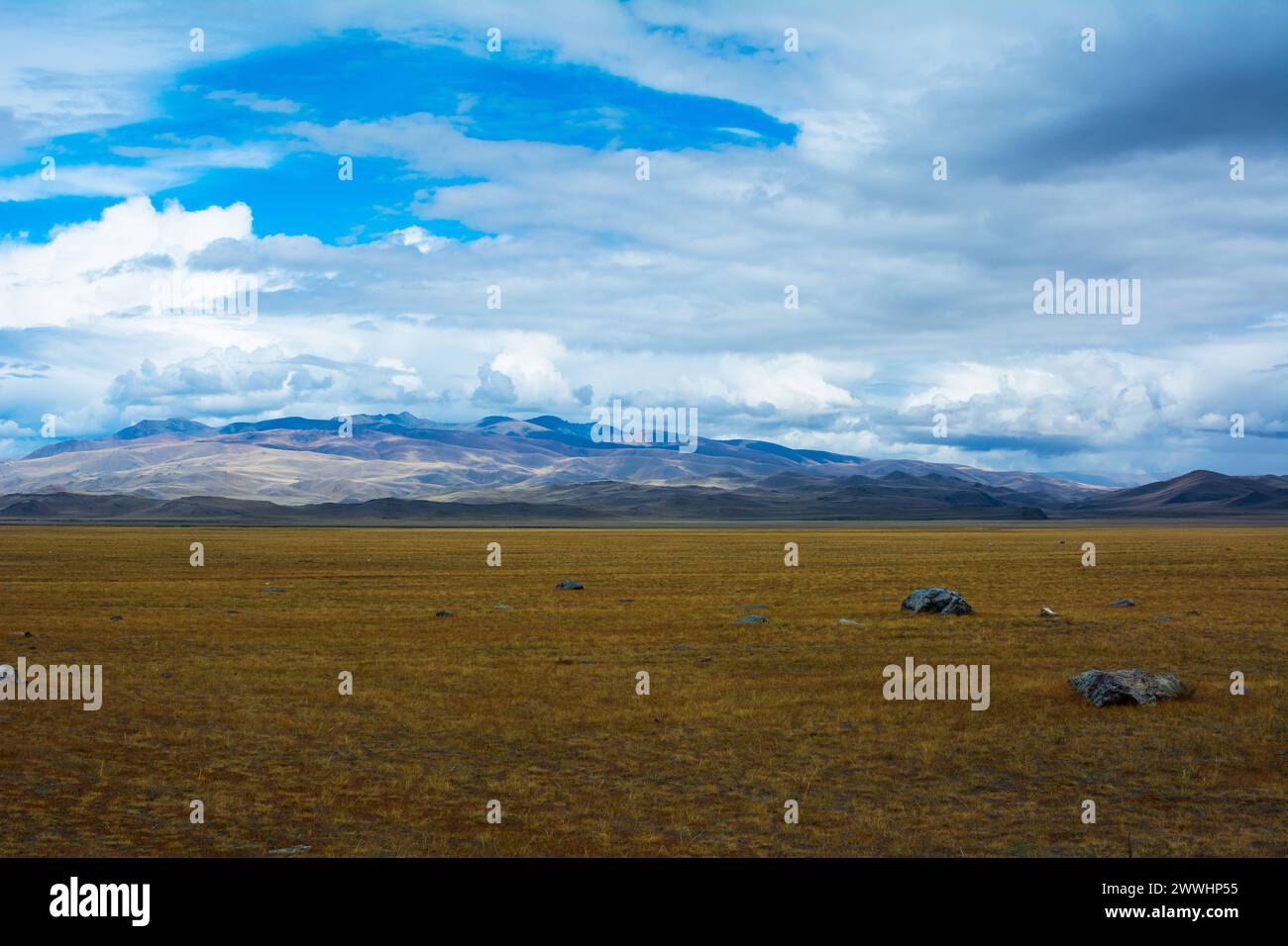 Paysage de steppe lumineux avec un morceau de roche paysage de steppe lumineux avec un morceau de roche au premier plan, vue sur les montagnes, ciel bleu avec des nuages. CHU Banque D'Images