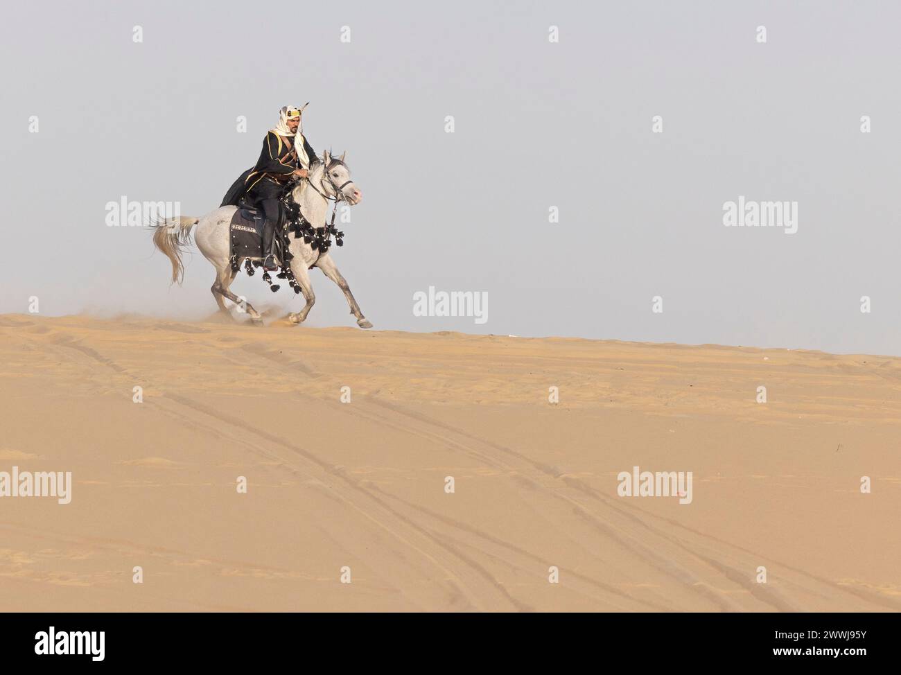 Homme saoudien en vêtements traditionnels avec son étalon blanc Banque D'Images