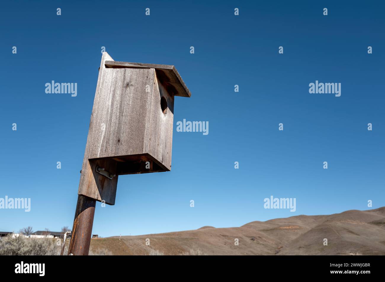 Maison d'habitat de la faune oiseau dans un désert de l'Idaho Banque D'Images