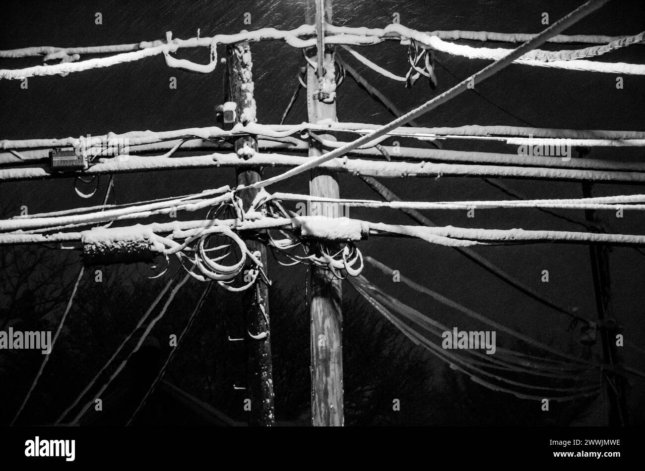 Lignes électriques pendant une tempête de neige Banque D'Images