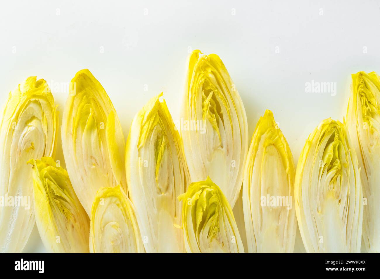 Les endives biologiques crus prêts à l'emploi Banque D'Images
