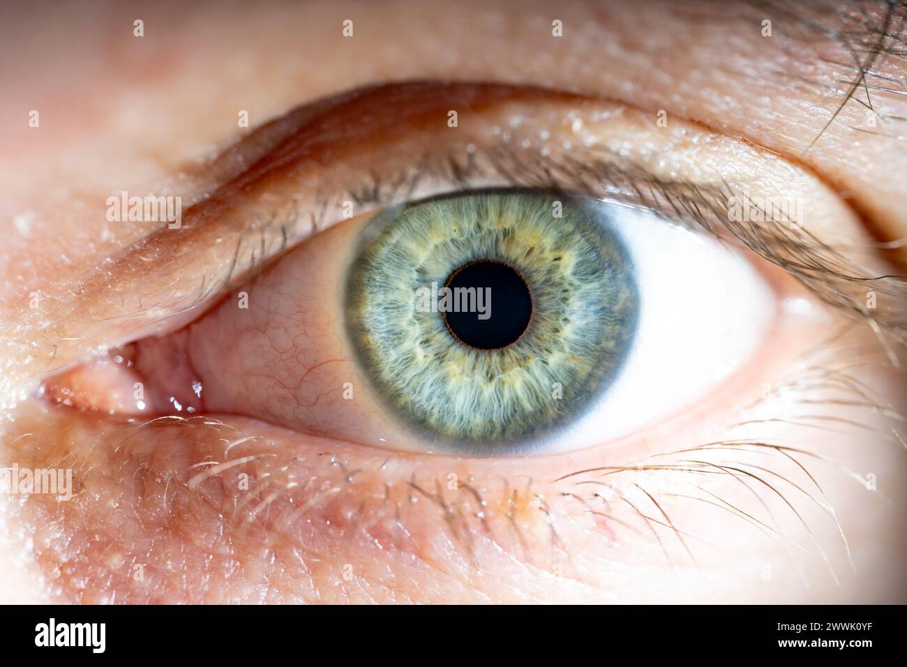 Description : oeil de couleur bleu-vert masculin avec des cils. Pupille ouverte. Gros plan. Anatomie structurelle. Détail de la macro de l'iris humain. Banque D'Images