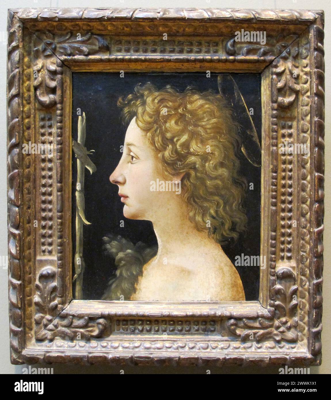 Jeune Saint Jean Baptiste, Piero di Cosimo des années 1490 Banque D'Images