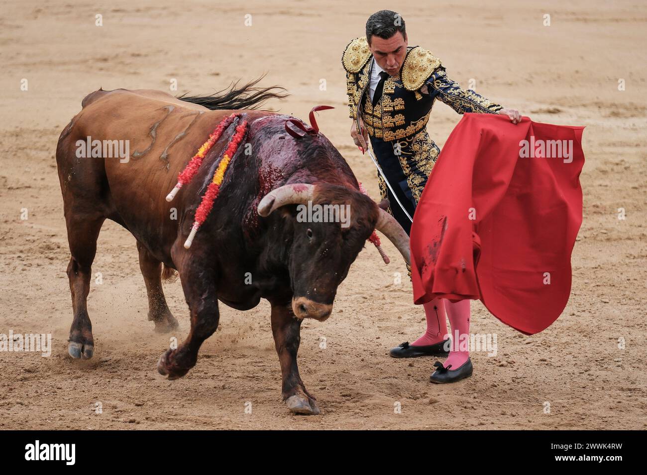 Le torero Octavio Chacón pendant la corrida Toros de Domingo de Ramos Toros dans la Plaza de las Ventas à Madrid 24 mars 2024 Spai Banque D'Images