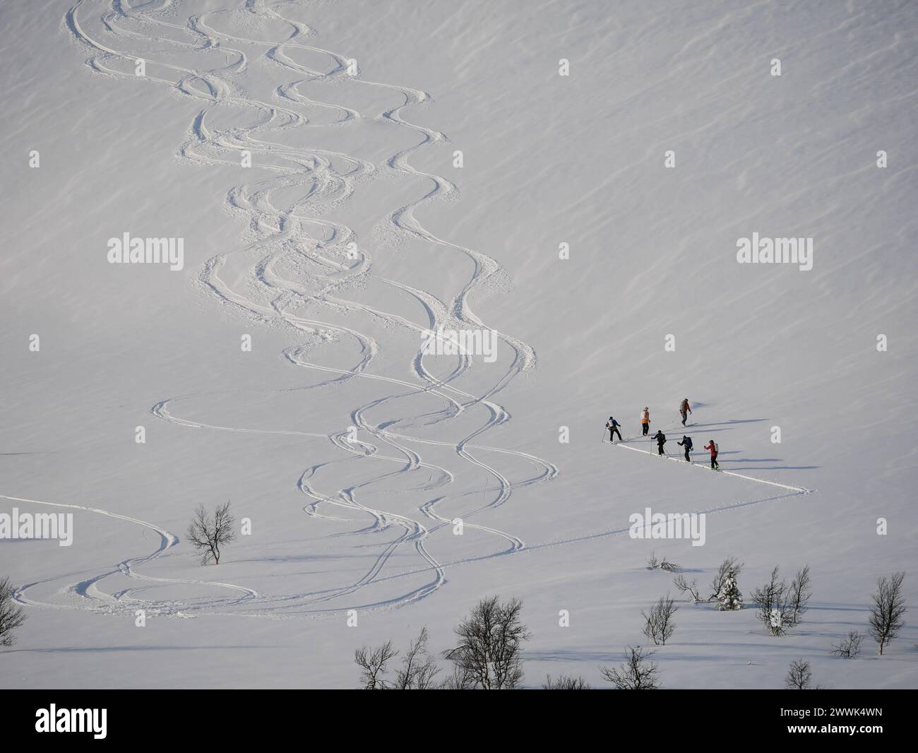 Six personnes remontant la pente enneigée de Småhamrarna, près de la hutte de Andersborg à Tänndalen, Jämtland, Suède. Banque D'Images