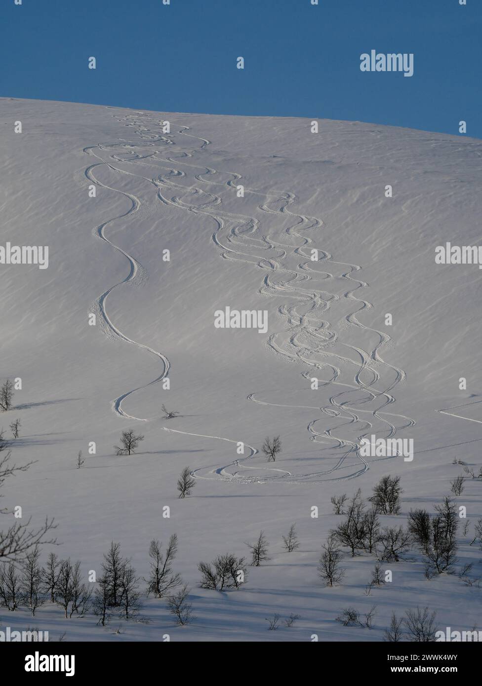 Pistes sur une pente ensoleillée à Småhamrarna, Tänndalen, Jämtland, Suède. Banque D'Images