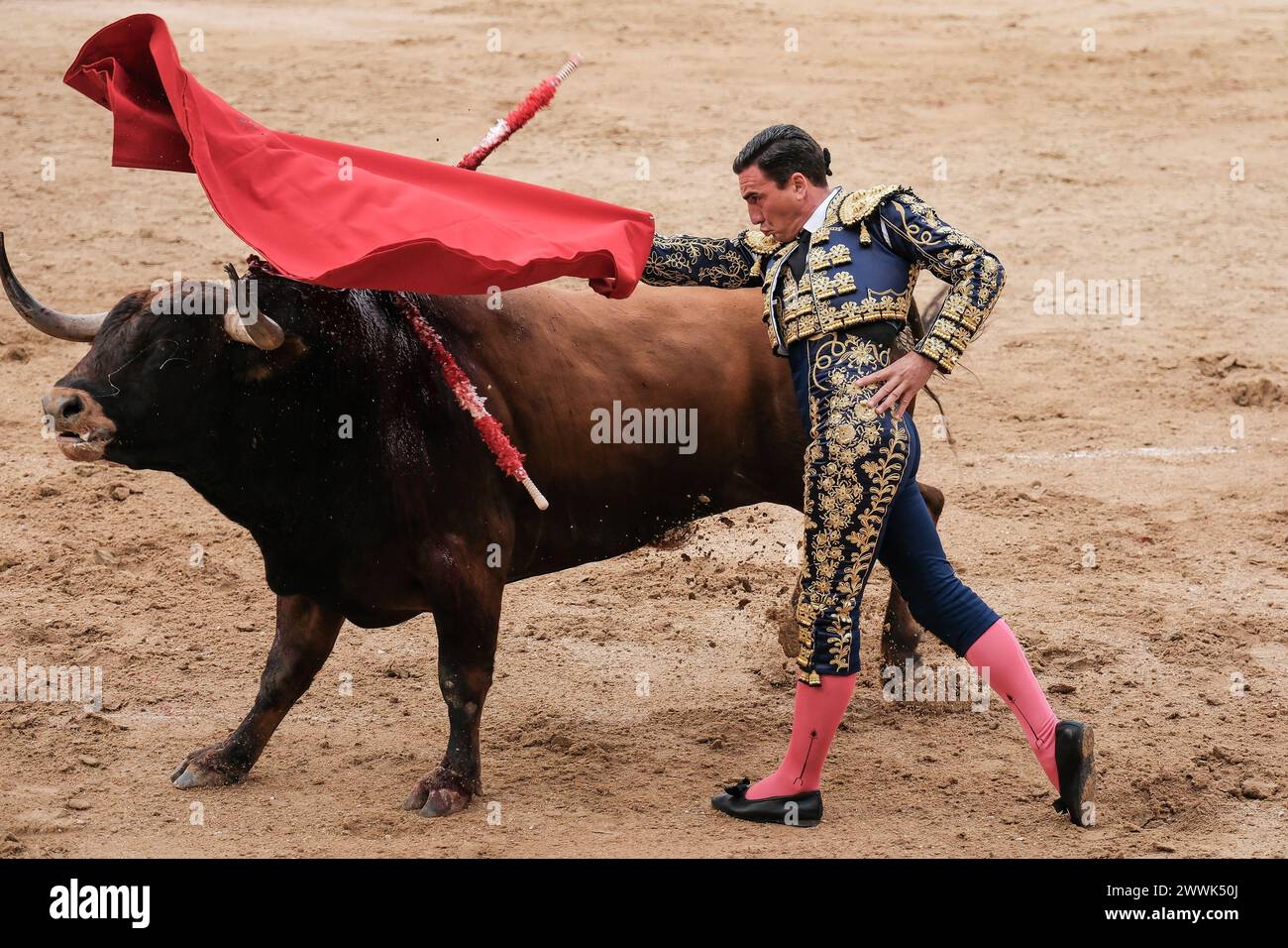 Madrid, Espagne. 24 mars 2024. Le torero Octavio Chacón pendant la corrida Toros de Domingo de Ramos Toros sur la Plaza de las Ventas à Madrid 24 mars 2024 Espagne (photo par Oscar Gonzalez/Sipa USA) crédit : Sipa USA/Alamy Live News Banque D'Images