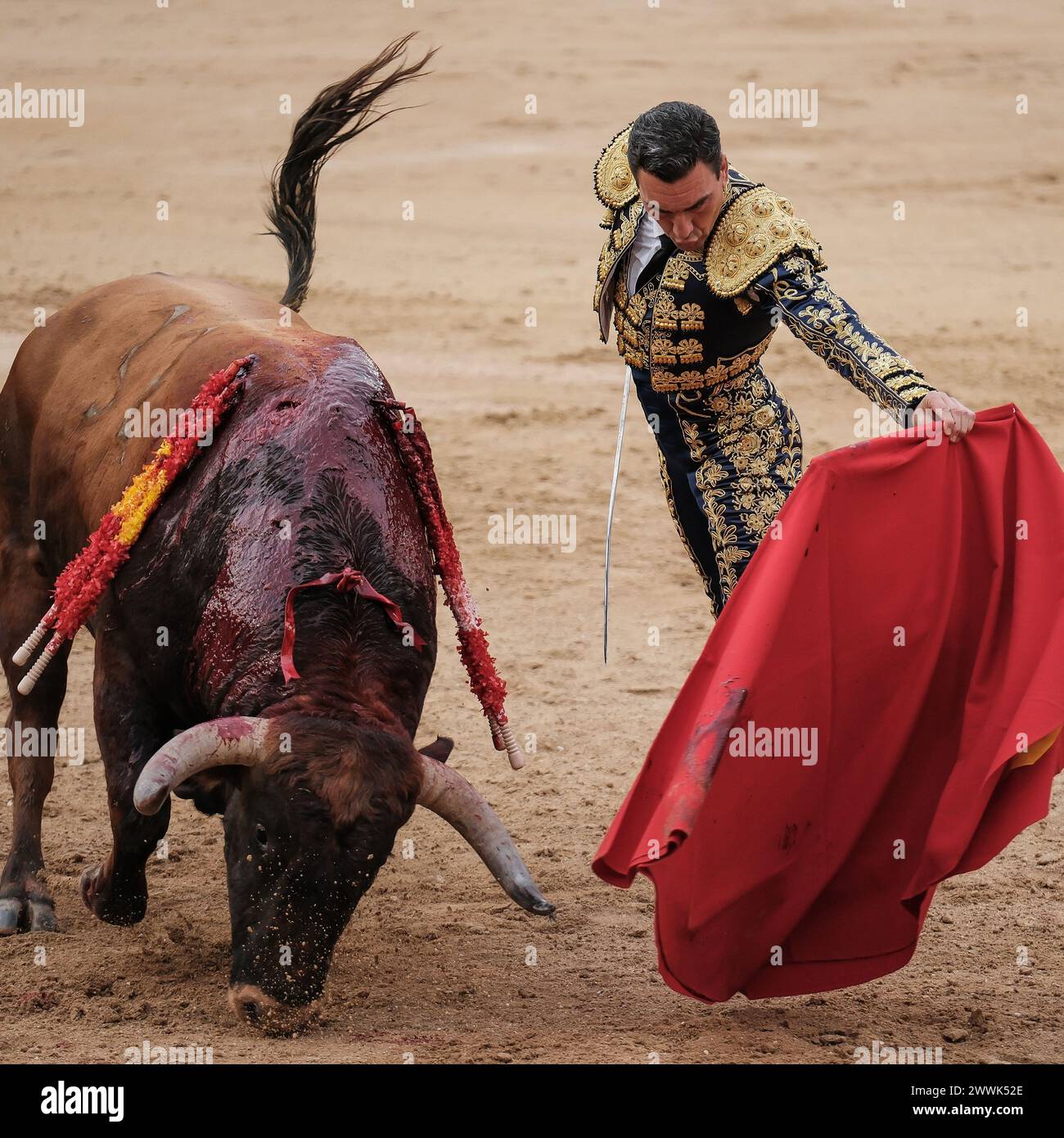 Madrid, Espagne. 24 mars 2024. Le torero Octavio Chacón pendant la corrida Toros de Domingo de Ramos Toros sur la Plaza de las Ventas à Madrid 24 mars 2024 Espagne (photo par Oscar Gonzalez/Sipa USA) crédit : Sipa USA/Alamy Live News Banque D'Images