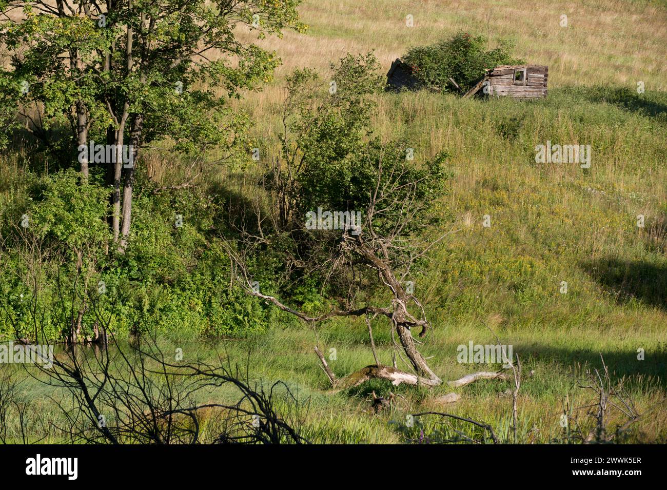Radocyna, village abandonné, région de Lemko, Pologne orientale Banque D'Images