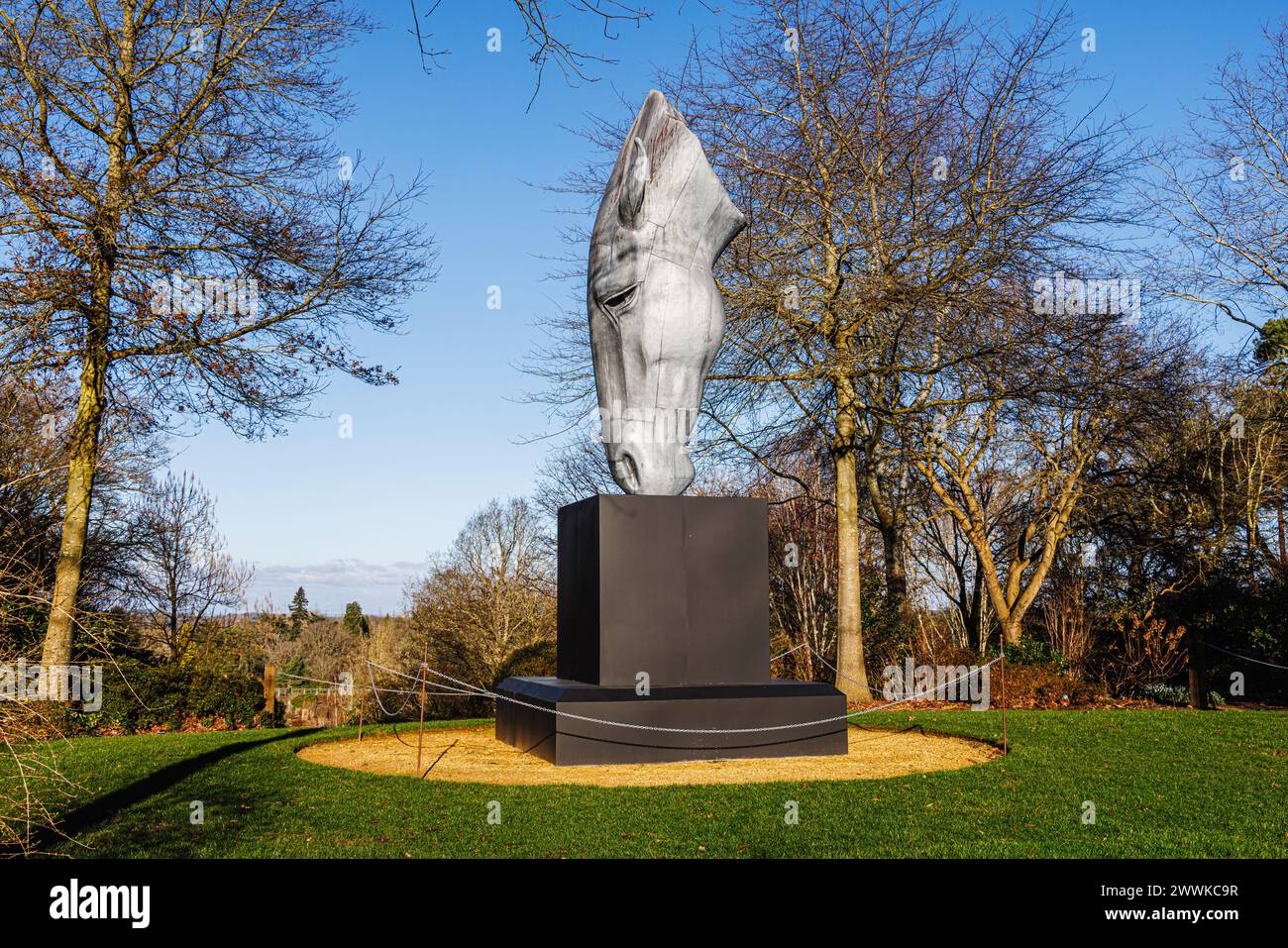 Grande sculpture métallique « en eau plate » de la tête d'un cheval par Nic Fiddian-Green au sommet de Battleston Hill au RHS Garden Wisley en hiver Banque D'Images