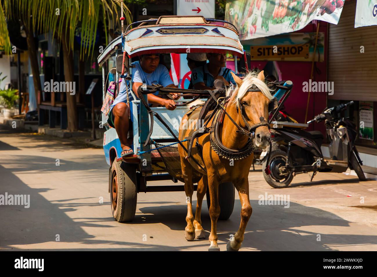 Une charrette à chevaux traditionnelle (Cidomo) transportant des touristes sur l'île de Gili Air.L'utilisation de Cidomos a fait l'objet de critiques sur le traitement des chevaux Banque D'Images