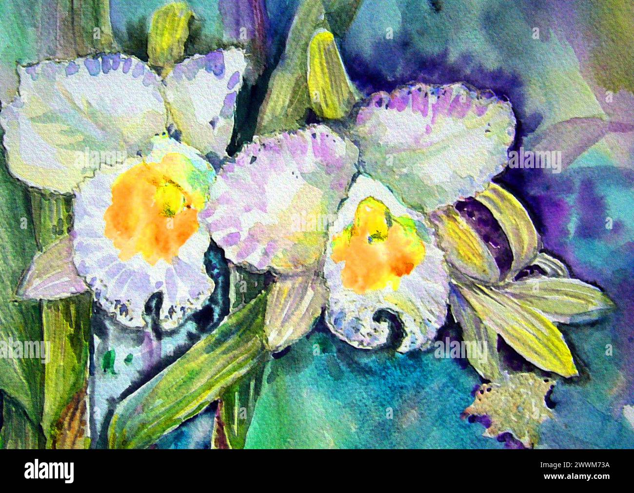 Arrière-plans de couleur abstraite pour la conception Art aquarelle peinture fleur d'orchidée Banque D'Images