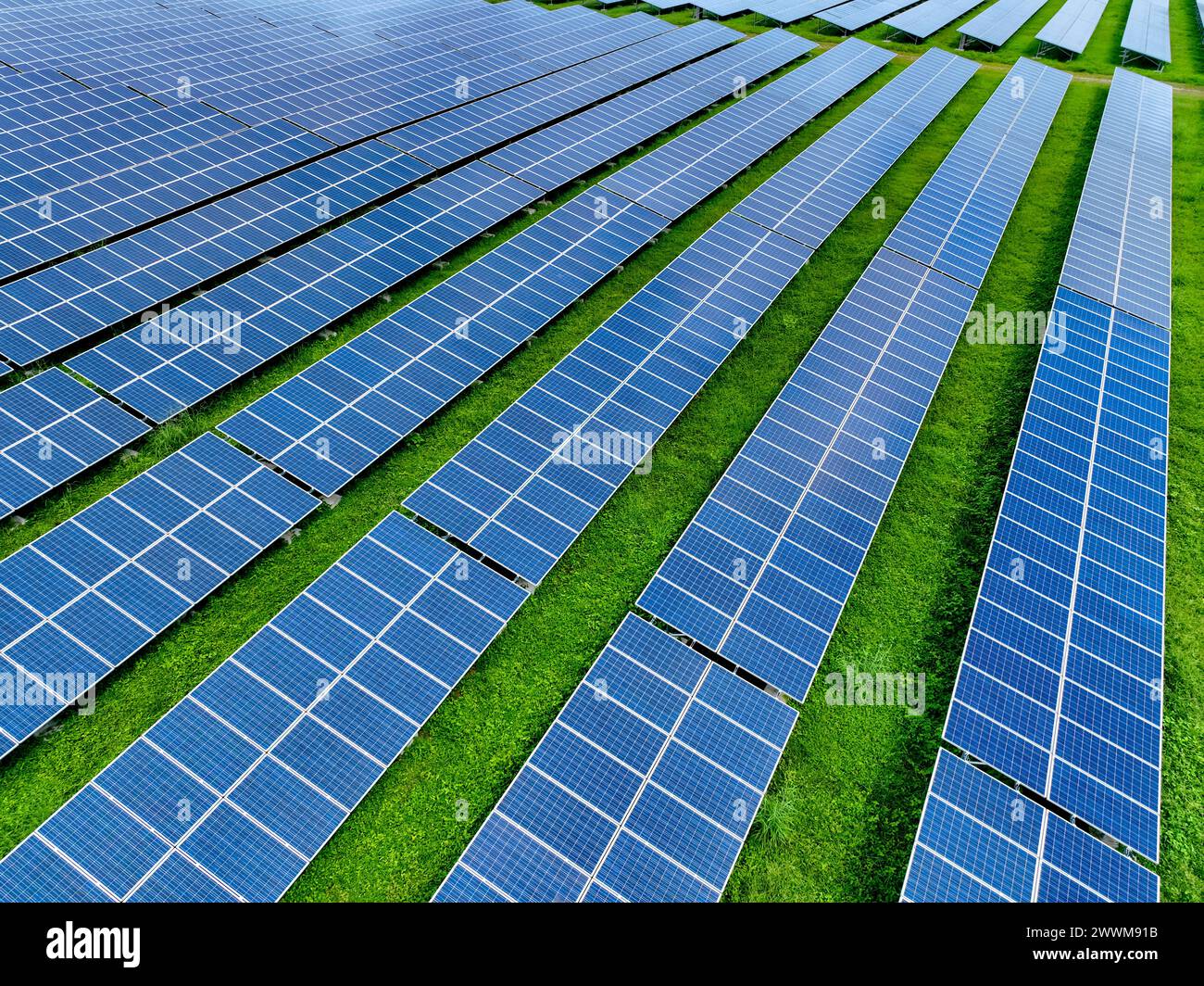 Ferme solaire et lumière du soleil. Énergie solaire pour l'énergie verte. Énergies renouvelables durables. Centrale photovoltaïque ou parc solaire. Installation du panneau solaire Banque D'Images