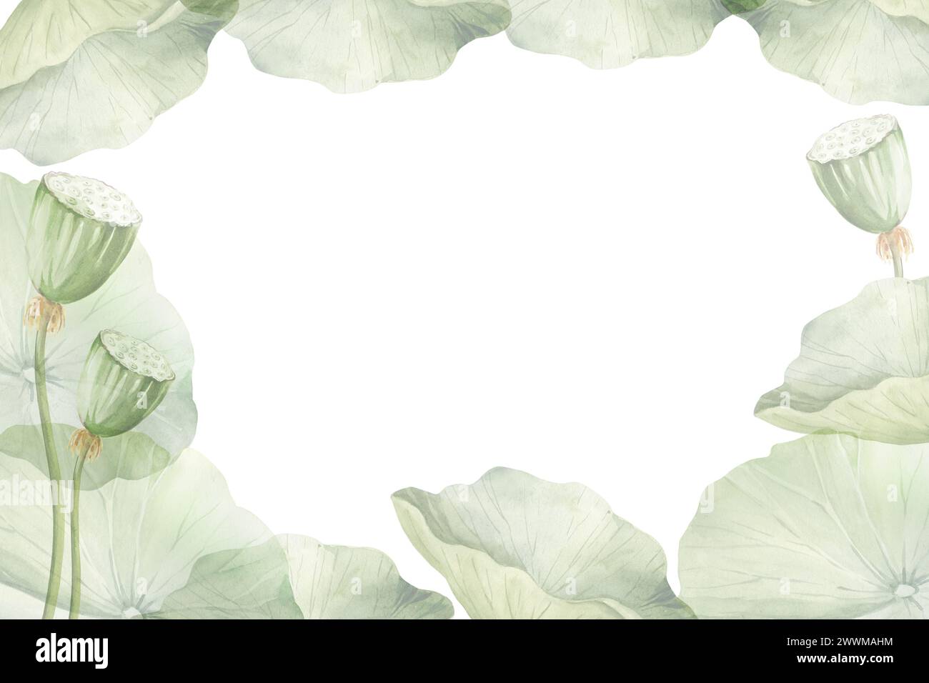 Feuilles et bourgeons de lotus vert, illustration aquarelle isolée sur fond blanc. Plante de nénuphar tropical asiatique avec bourgeon pour spa et salon de yoga, bl Banque D'Images