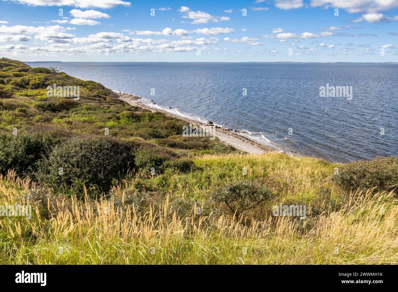 Vue sur les falaises surplombant la mer de Limfjord sur l'île de Livø, Nordjylland, Danemark Banque D'Images