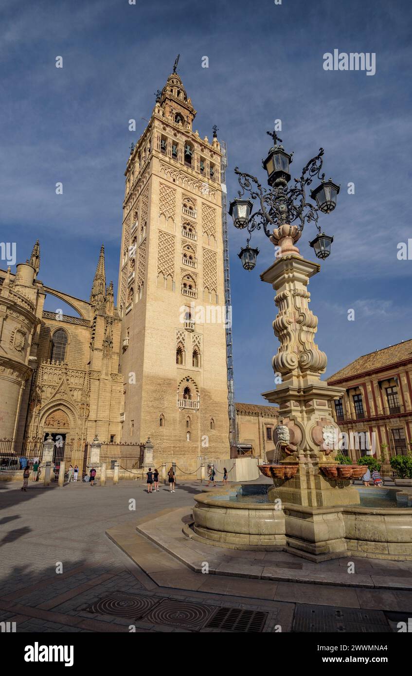 La Giralda, le clocher de la cathédrale de Séville, vu de la place Virgen de los Reyes (Séville, Andalousie, Espagne) ESP : la Giralda de Sevilla Banque D'Images