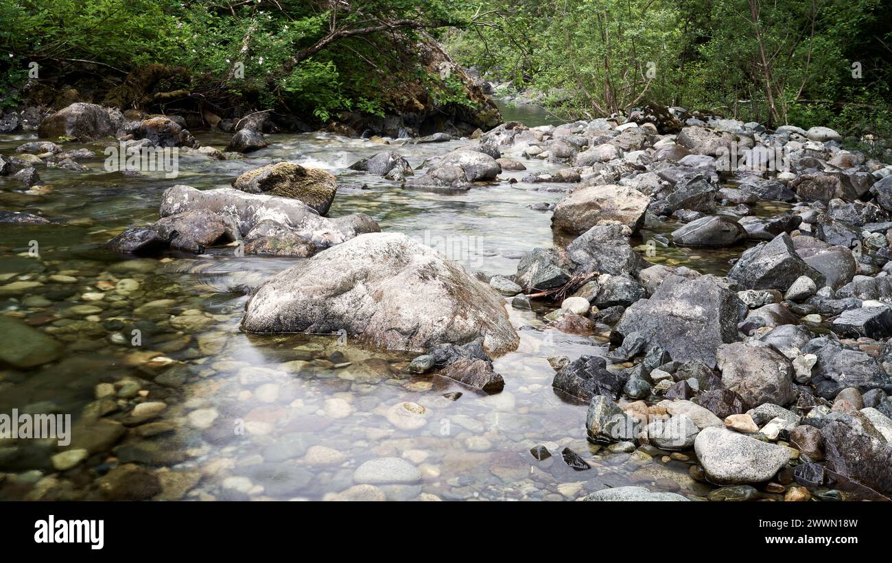 Beaux rochers et rochers dans un lit de ruisseau coloré avec feuillage de printemps vert vif en arrière-plan. Banque D'Images