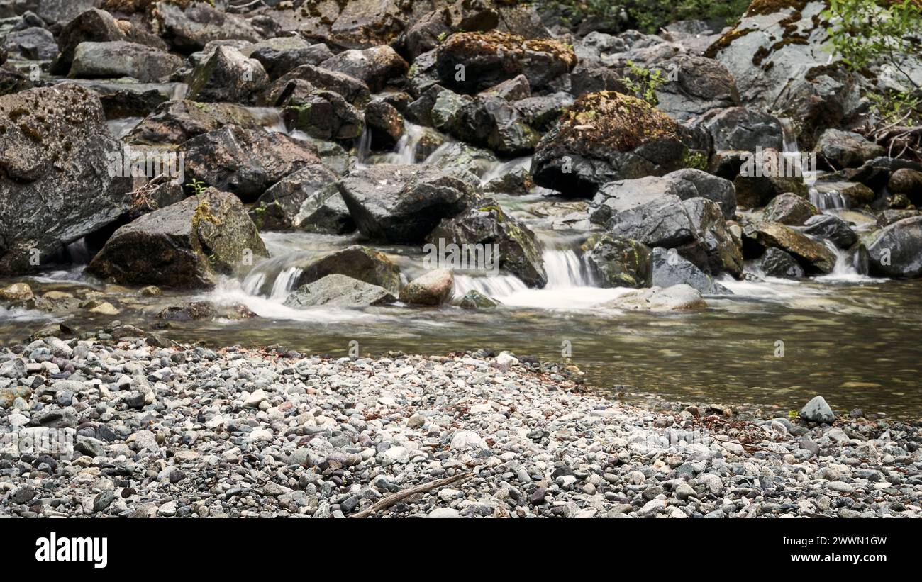 Une barre de gravier dans un petit joli ruisseau avec de l'eau qui coule en cascade sur les rochers derrière elle et des buissons de printemps lumineux. Banque D'Images