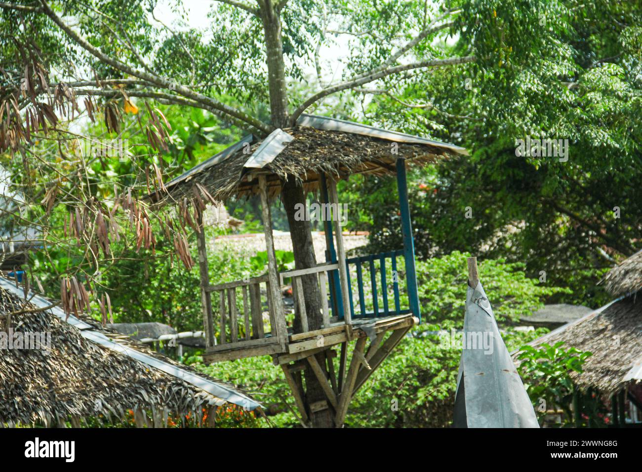 Des cabanes en bois et des toits traditionnels sont situés à côté d'arbres luxuriants Banque D'Images