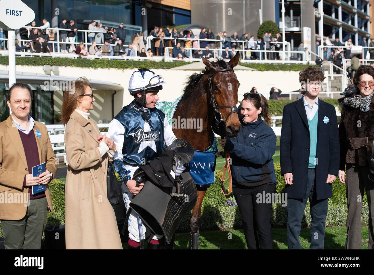 Ascot, Berkshire, Royaume-Uni. 24 mars 2024. Horse Martator (n°4) monté par le jockey Charlie Deutsch remporte le LK Bennett handicap Steeple Chase au Spring Family Raceday à Ascot Racecourse. Propriétaire Camillia Norton, entraîneuse Venetia Williams, Hereford, commanditaire Faucets Limited. Crédit : Maureen McLean/Alamy Live News Banque D'Images