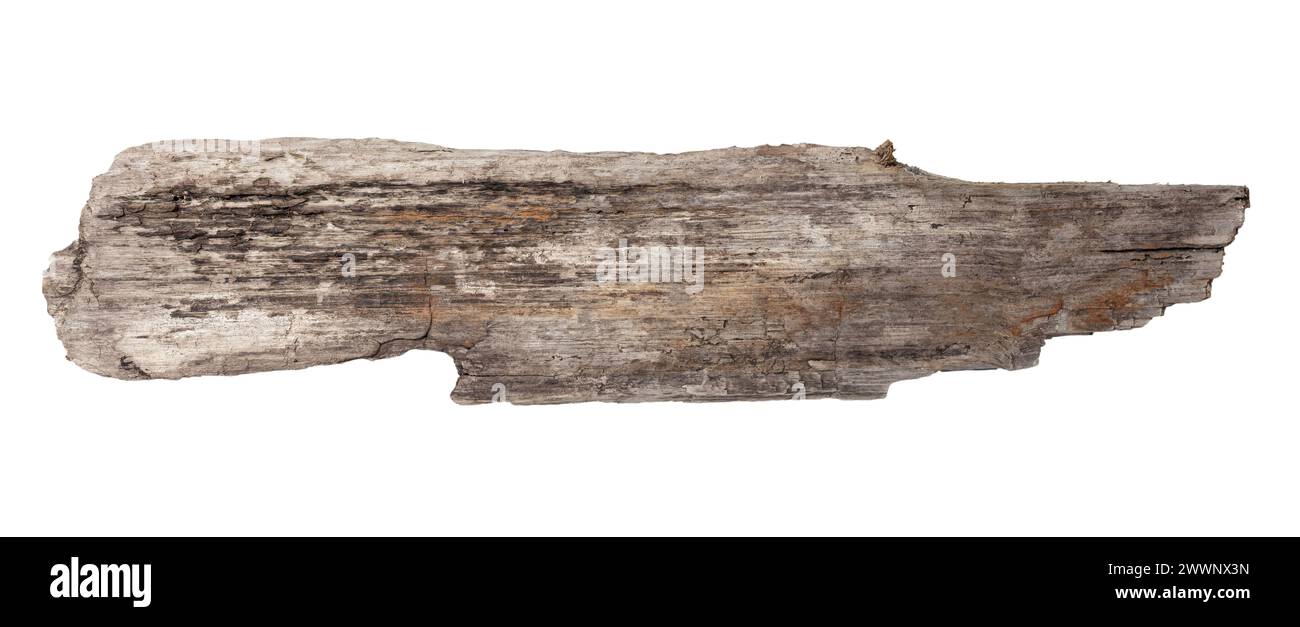 Planche de bois de dérive de mer isolée sur fond blanc. Maquette de modèle Banque D'Images