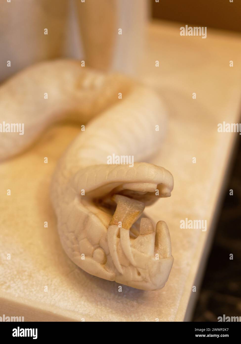 APPAREIL PHOTO NUMÉRIQUE OLYMPUS Banque D'Images