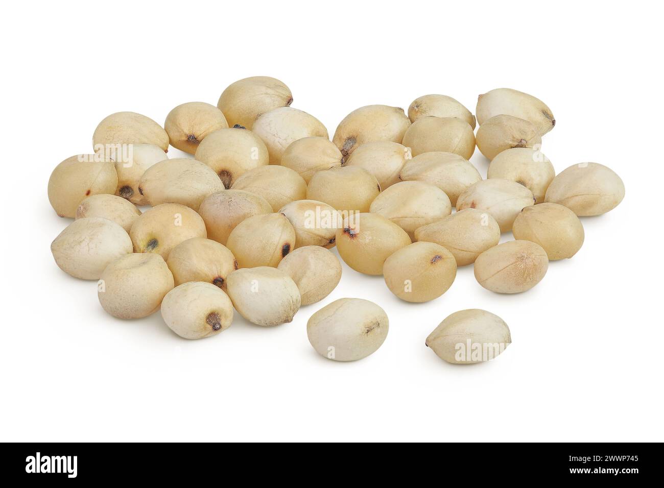 Graines de sorgho isolées sur fond blanc avec pleine profondeur de champ. Banque D'Images