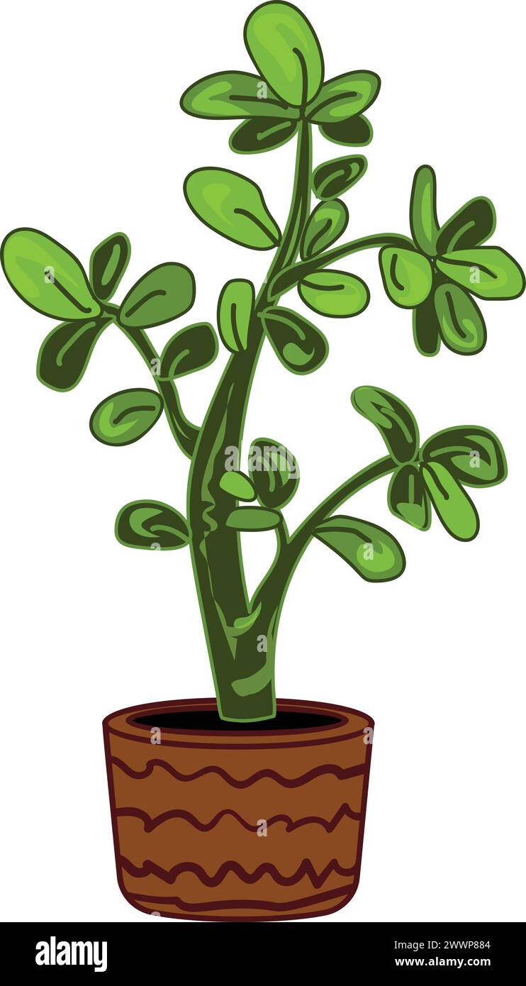 Vecteur de dessin animé d'icône de pot de plante d'arbre succulent. Jungle fleurie. Fenêtre de bureau jardin Illustration de Vecteur