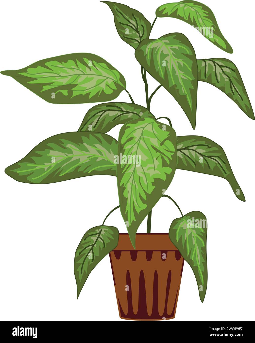 Vecteur de dessin animé d'icône de pot de feuille de plante de maison. Jardin botanique avec fenêtres. Aride exotique Illustration de Vecteur