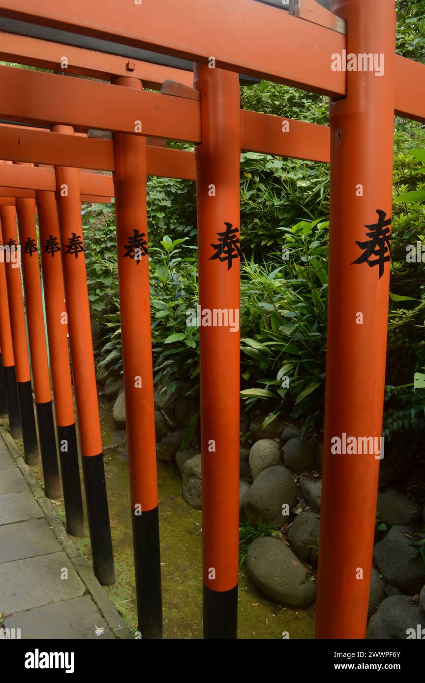 Vie urbaine Tokyo Banque D'Images