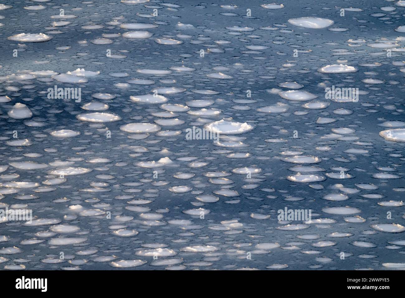 Antarctique, Terre Victoria, mer de Ross dans la zone de la plate-forme glaciaire de Ross. Formation de glace de crêpes sur la mer de Ross lorsqu'elle commence à geler. Banque D'Images