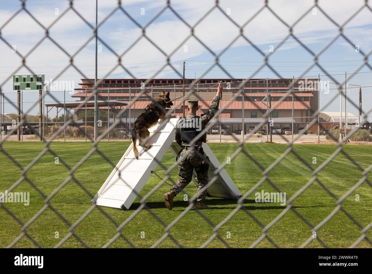 Le Cpl Daniel Garber, chien de travail militaire (MWD) du corps des Marines des États-Unis, et MWD Abby avec le Bureau du Grand Prévôt, le quartier général et l’escadron du quartier général de la Marine corps Air Station (MCAS) Yuma, Arizona, montrent aux élèves de la Gowan Science Academy une démonstration K-9 lors d’une visite scolaire à l’installation, le 15 février 2024. MCAS Yuma offre aux écoles locales la possibilité de visiter la base pour éduquer les élèves sur les carrières militaires et les modes de vie. La ville natale de Garber est Conrad, Iowa. Corps des Marines Banque D'Images