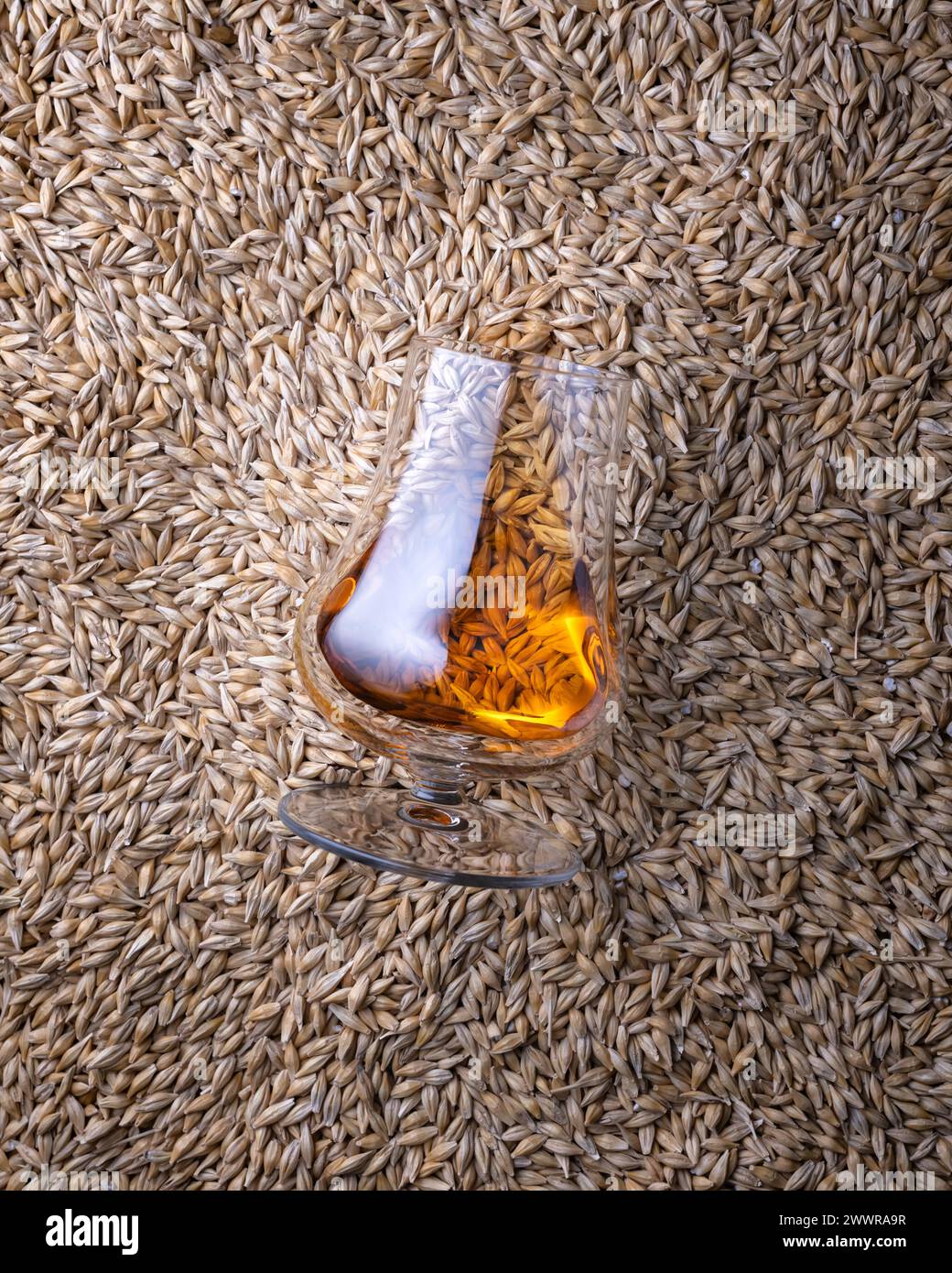 Un verre de whisky sur des grains d'orge comme fond, vue de dessus Banque D'Images