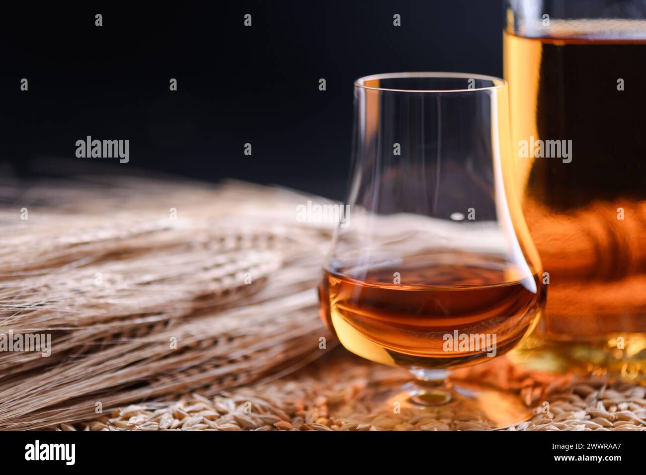 Un verre de whisky avec bouteille et oreilles d'orge sur grains d'orge comme fond. Concept de distillerie de whisky Banque D'Images