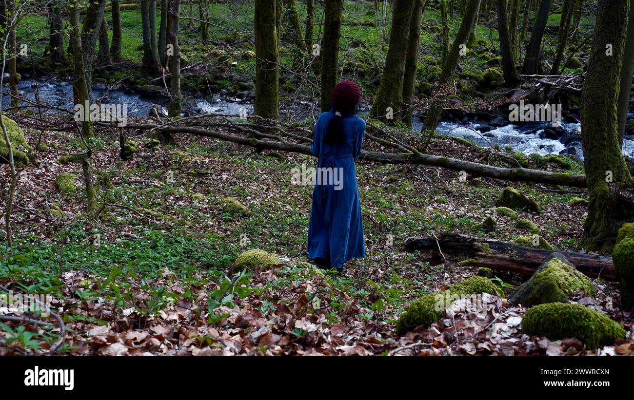 Femme dans une forêt regardant un ruisseau de montagne. Banque D'Images