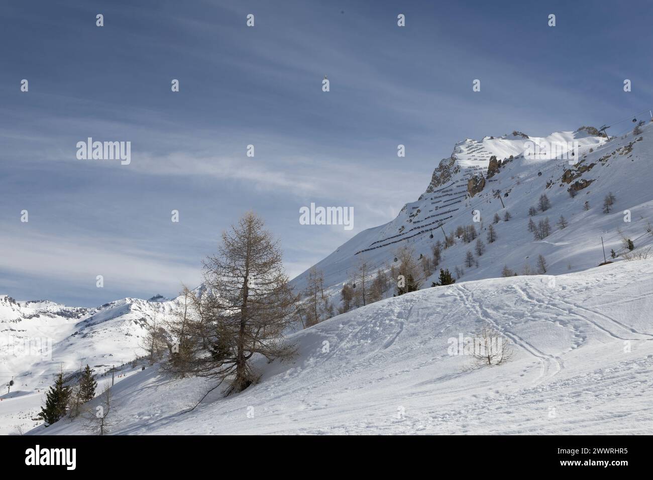 Les mélèzes européens parsèment les pentes enneigées de la pointe du Lavachet et ses barrières contre les avalanches au-dessus de la station de ski alpin française de Tignes. Banque D'Images