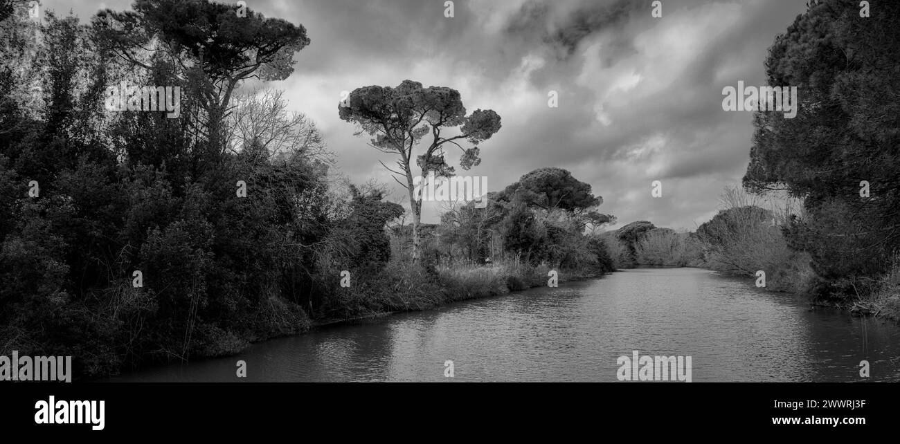 Paysage dans la région entre Lido di Dante et la rivière Fiumi Uniti. Images en noir et blanc avec fort contraste qui met en évidence les nuages Banque D'Images