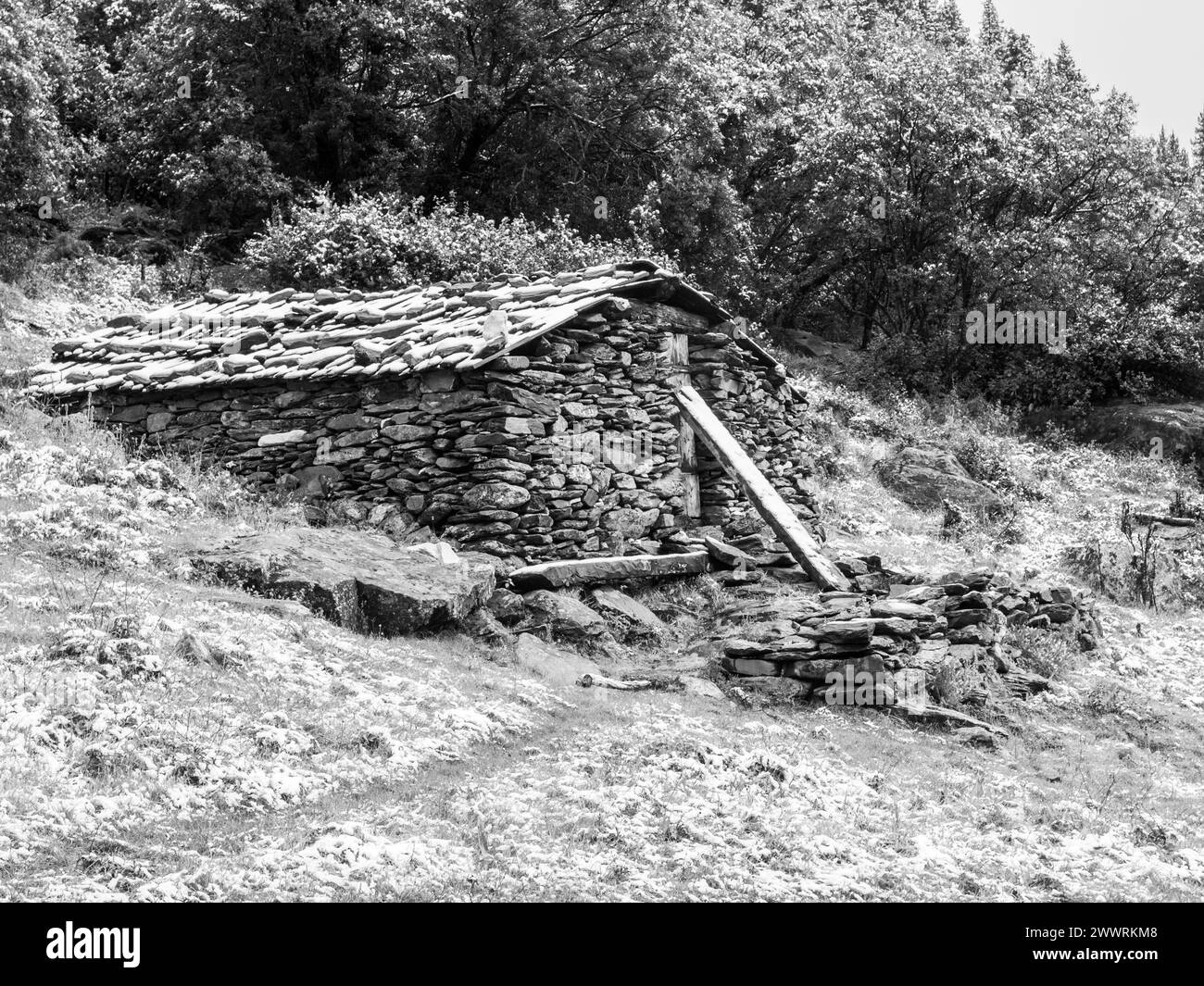 Abri en pierre de montagne pour touriste, bivouac, réserve de Yading, Daocheng, Sichuan, Chine, image en noir et blanc Banque D'Images