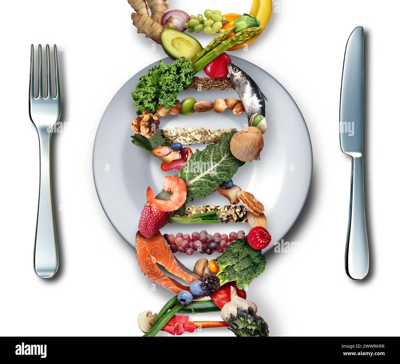 Longevity Diet Science et régime anti-âge comme manger conscient des aliments qui aident les humains à vivre plus longtemps comme antioxydants riches en nutriments avec phytonutriments A. Banque D'Images