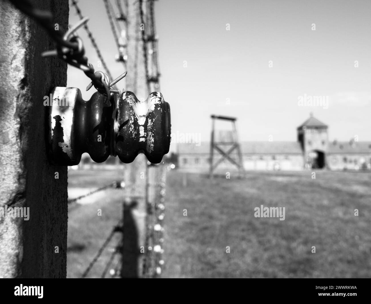Vue détaillée de la clôture de barbe dans le camp de concentration. Auschwitz Birkenau, alias Oswiecim Brzezinka, Pologne, Europe. Banque D'Images
