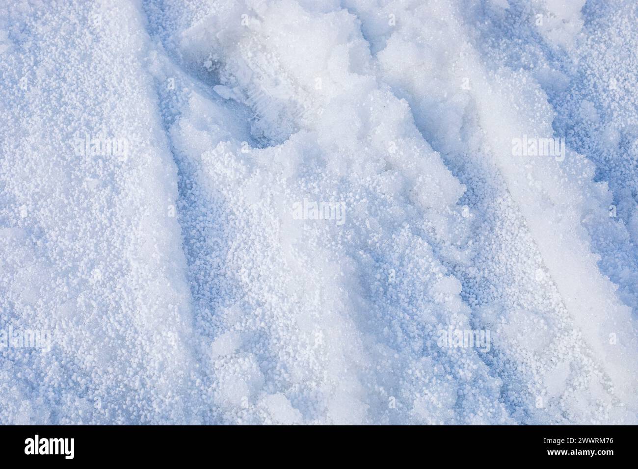 fond clair de neige mouillée sur une pente douce. Noël . Ski et snowboard de la station de Khimny Banque D'Images