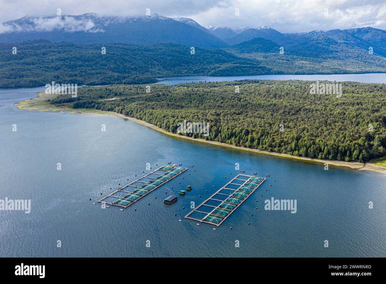 Vue aérienne d'une ferme de saumons au sud de Puyuhuapi, cages rectangulaires flottant dans le fjord, Patagonie, Chili Banque D'Images