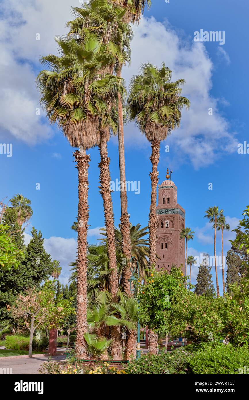 Vue sur la Koutoubia, réplique de la Giralda de Séville, depuis les jardins de Lalla Hasna dans la ville de Marraketch au Maroc Banque D'Images