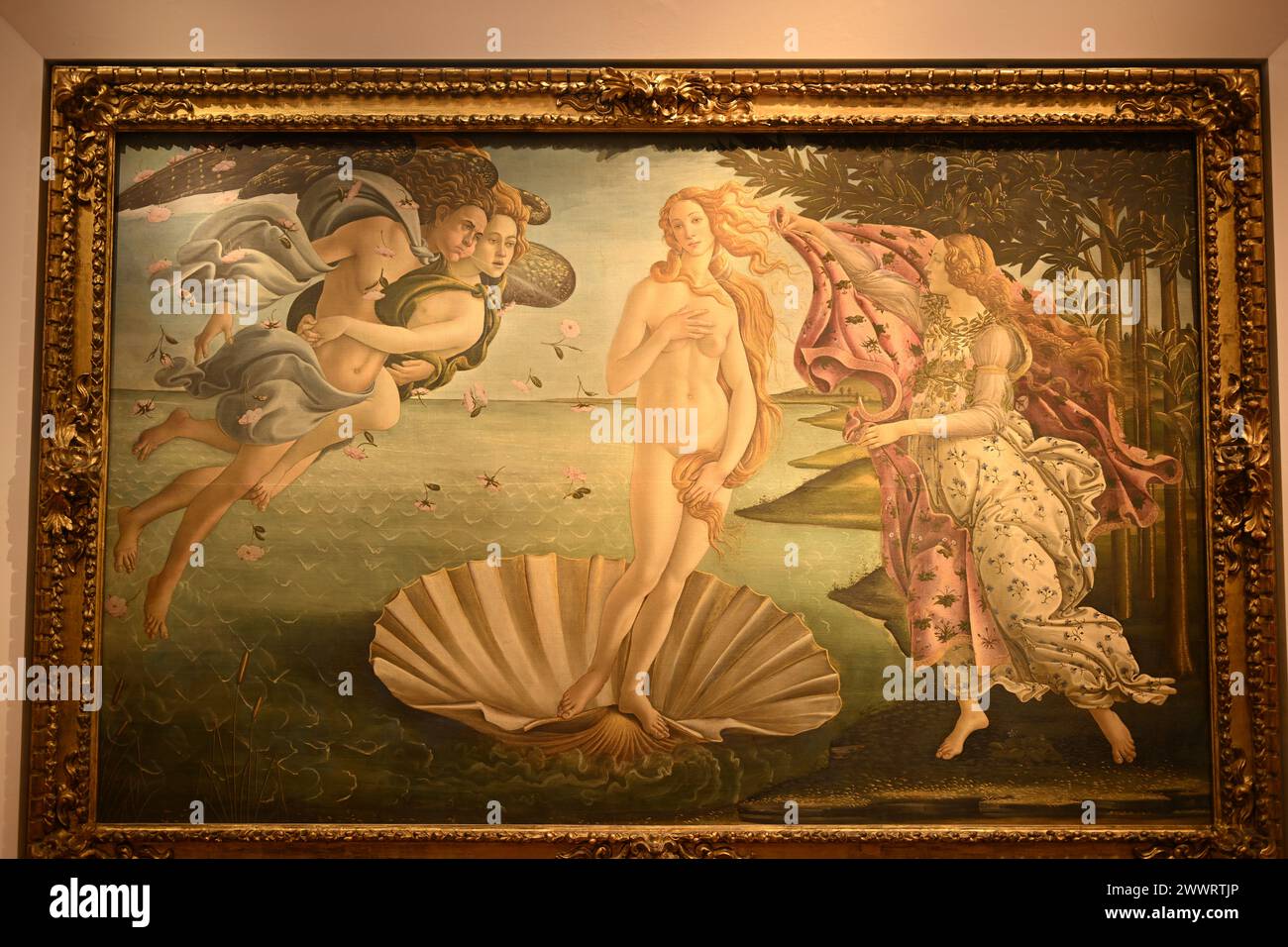 La naissance de Vénus Uffizi Musei Firenze Firenze ou Florence, Toscane Italie Banque D'Images