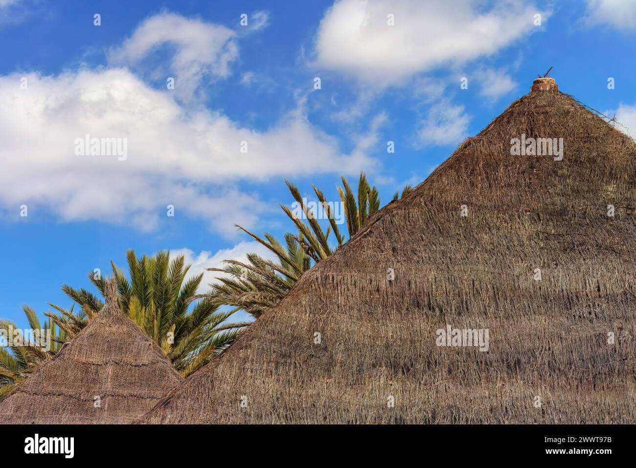 Toits en rotin et palmiers sous un ciel nuageux bleu à Tenerife. Espagne. Banque D'Images