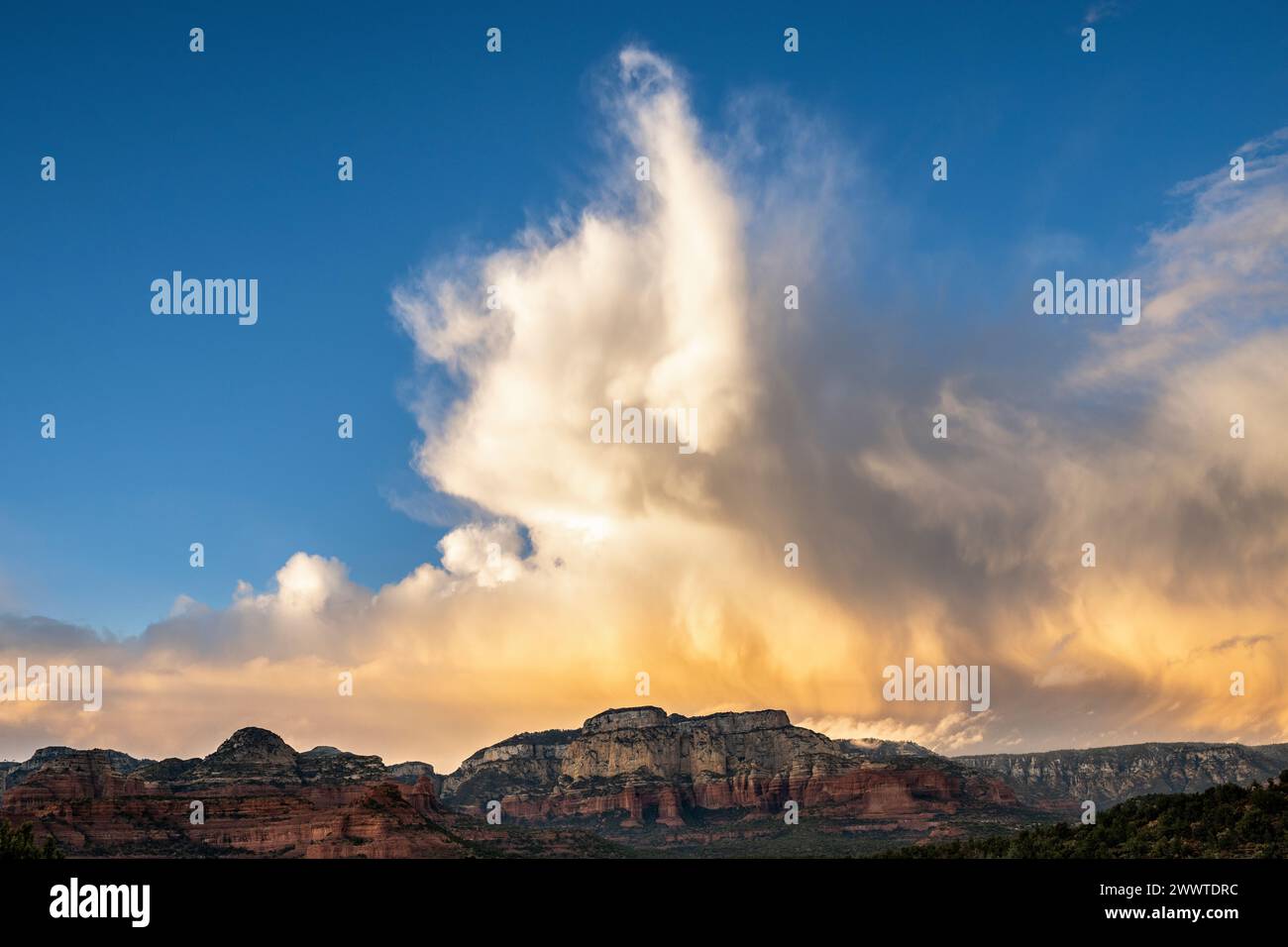 Orage en cours, près de Sedona, AZ, USA, par Dominique Braud/Dembinsky photo Assoc Banque D'Images