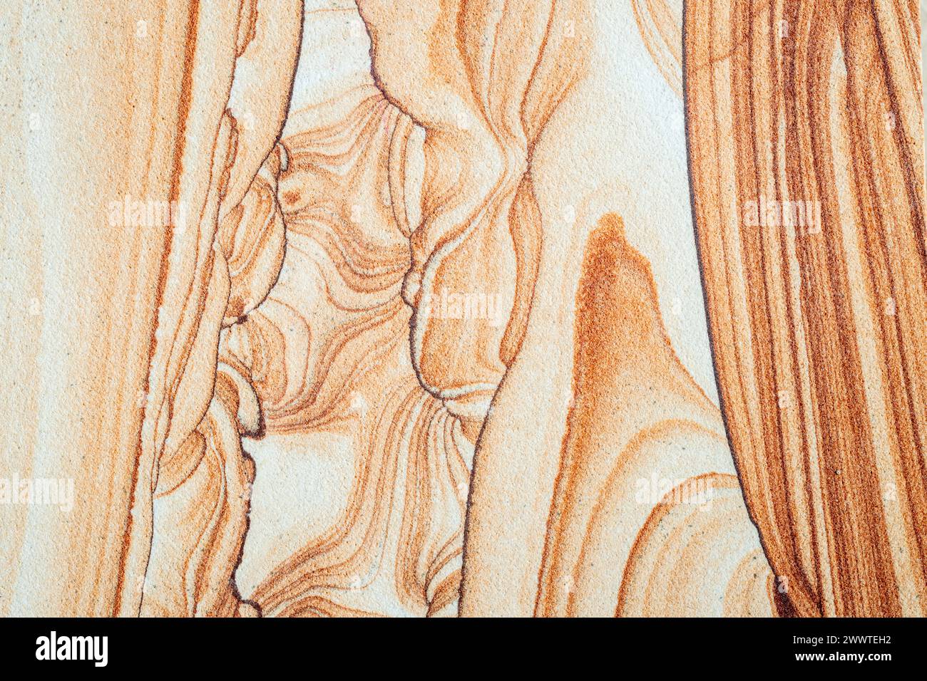 Vue rapprochée sur le grès de l'Arizona. Jerome, Arizona, USA, par Dominique Braud/Dembinsky photo Assoc Banque D'Images