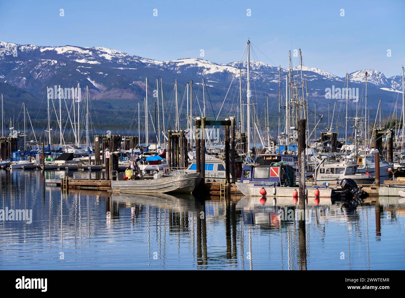 Une belle vue sur les bateaux amarrés à la marina de Deep Bay avec des reflets lumineux dans l'eau de l'océan Banque D'Images